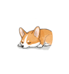 動く！コーギー2（個別スタンプ：15）