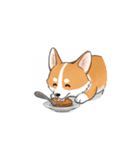 動く！コーギー2（個別スタンプ：16）
