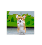 踊るコーギー（個別スタンプ：1）