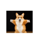 踊るコーギー（個別スタンプ：5）