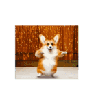 踊るコーギー（個別スタンプ：10）