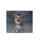 踊るコーギー（個別スタンプ：13）