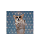 踊るコーギー（個別スタンプ：14）