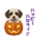 ワンコとハロウィン/ジャックオーランタン（個別スタンプ：2）