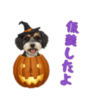 ワンコとハロウィン/ジャックオーランタン（個別スタンプ：8）