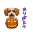 ワンコとハロウィン/ジャックオーランタン（個別スタンプ：11）