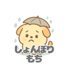 ワンモチの愛らしいデイリー (1)（個別スタンプ：27）