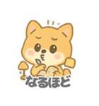 エモ柴の愛らしいデイリー (1)（個別スタンプ：39）