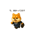 仕事で使える柴犬サラリーマン（個別スタンプ：3）