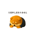 仕事で使える柴犬サラリーマン（個別スタンプ：10）