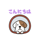 窓からお出迎えする犬の日常（個別スタンプ：1）