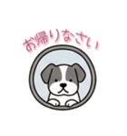 窓からお出迎えする犬の日常（個別スタンプ：2）
