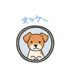 窓からお出迎えする犬の日常（個別スタンプ：5）