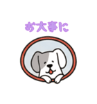 窓からお出迎えする犬の日常（個別スタンプ：6）