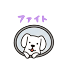 窓からお出迎えする犬の日常（個別スタンプ：7）