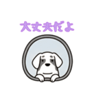 窓からお出迎えする犬の日常（個別スタンプ：13）