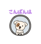 窓からお出迎えする犬の日常（個別スタンプ：14）
