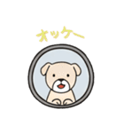 窓からお出迎えする犬の日常（個別スタンプ：16）