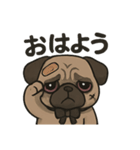 病み可愛パグの日常スタンプ/返事に使える（個別スタンプ：1）