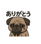 病み可愛パグの日常スタンプ/返事に使える（個別スタンプ：3）