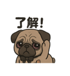 病み可愛パグの日常スタンプ/返事に使える（個別スタンプ：6）