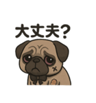 病み可愛パグの日常スタンプ/返事に使える（個別スタンプ：8）