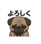 病み可愛パグの日常スタンプ/返事に使える（個別スタンプ：9）