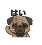 病み可愛パグの日常スタンプ/返事に使える（個別スタンプ：10）