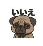 病み可愛パグの日常スタンプ/返事に使える（個別スタンプ：12）