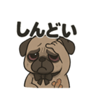 病み可愛パグの日常スタンプ/返事に使える（個別スタンプ：15）