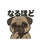 病み可愛パグの日常スタンプ/返事に使える（個別スタンプ：19）