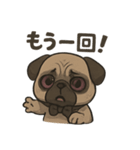 病み可愛パグの日常スタンプ/返事に使える（個別スタンプ：24）