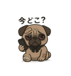 病み可愛パグの日常スタンプ/返事に使える（個別スタンプ：25）