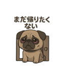 病み可愛パグの日常スタンプ/返事に使える（個別スタンプ：31）