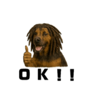 ドレッドヘア 犬 イケてる カッコいい（個別スタンプ：11）