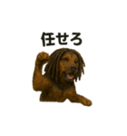 ドレッドヘア 犬 イケてる カッコいい（個別スタンプ：27）