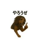 ドレッドヘア 犬 イケてる カッコいい（個別スタンプ：35）