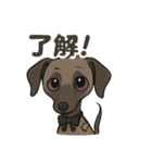 病み可愛アザワクの日常スタンプ（個別スタンプ：3）