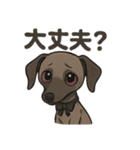 病み可愛アザワクの日常スタンプ（個別スタンプ：4）