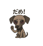 病み可愛アザワクの日常スタンプ（個別スタンプ：9）