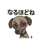 病み可愛アザワクの日常スタンプ（個別スタンプ：11）