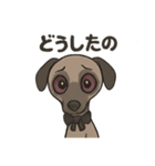 病み可愛アザワクの日常スタンプ（個別スタンプ：14）