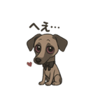 病み可愛アザワクの日常スタンプ（個別スタンプ：17）