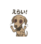 病み可愛アザワクの日常スタンプ（個別スタンプ：19）