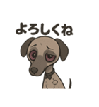 病み可愛アザワクの日常スタンプ（個別スタンプ：25）