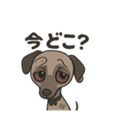 病み可愛アザワクの日常スタンプ（個別スタンプ：26）