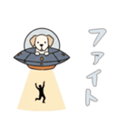 UFOで宇宙犬1日常（個別スタンプ：6）