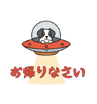 UFOで宇宙犬1日常（個別スタンプ：7）