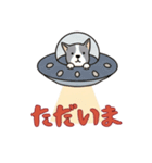 UFOで宇宙犬1日常（個別スタンプ：8）