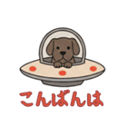 UFOで宇宙犬1日常（個別スタンプ：13）